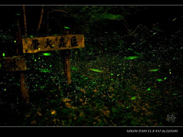 559898_2627822515250_1275835012_n