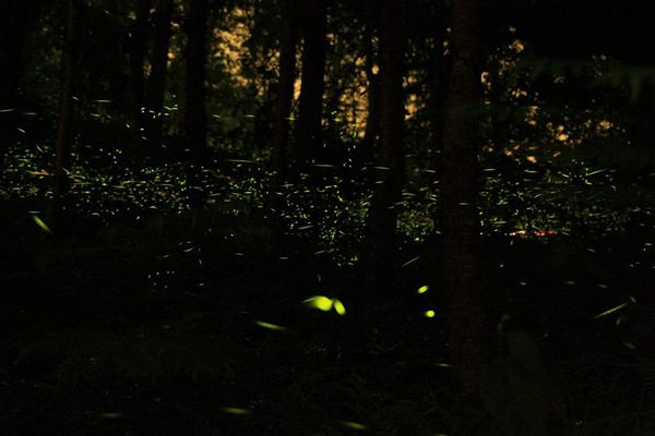 10274344_10151969481895957_5856818105633740082_n