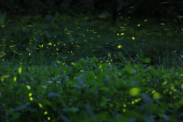 10271554_10151969481205957_2556304814538454271_n