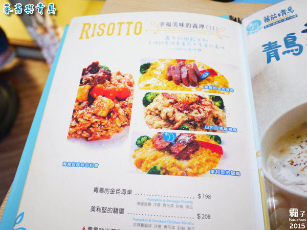 蕃茄與青鳥：蕃茄與青鳥，活力紫高麗菜苗新登場～～