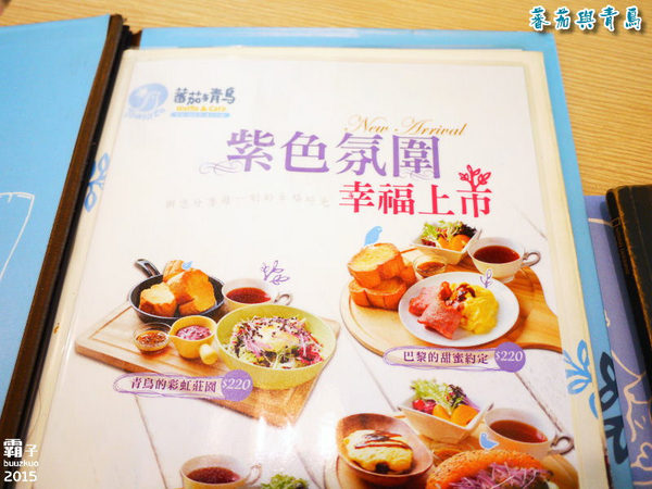 蕃茄與青鳥：蕃茄與青鳥，活力紫高麗菜苗新登場～～