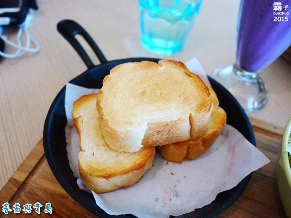 蕃茄與青鳥：蕃茄與青鳥，活力紫高麗菜苗新登場～～