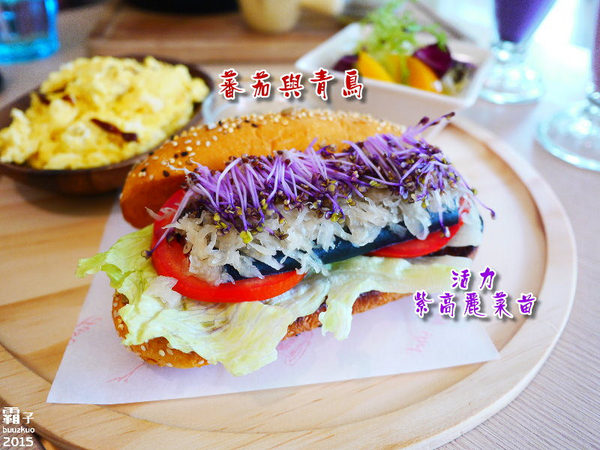 蕃茄與青鳥：蕃茄與青鳥，活力紫高麗菜苗新登場～～