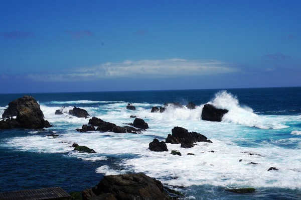鼻頭角步道(Bitou Cape Trail):<台灣步道> 東北角.鼻頭角-台灣最美的山海步道