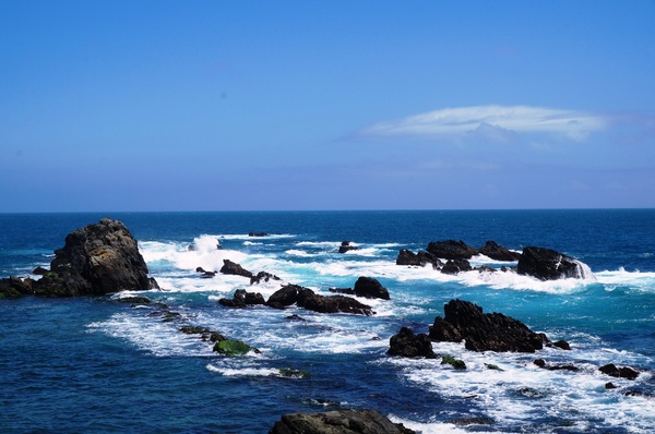 鼻頭角步道(Bitou Cape Trail):<台灣步道> 東北角.鼻頭角-台灣最美的山海步道