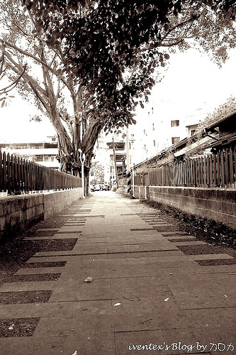 20-1_雲林斗六雲中街警察局舊宿舍群