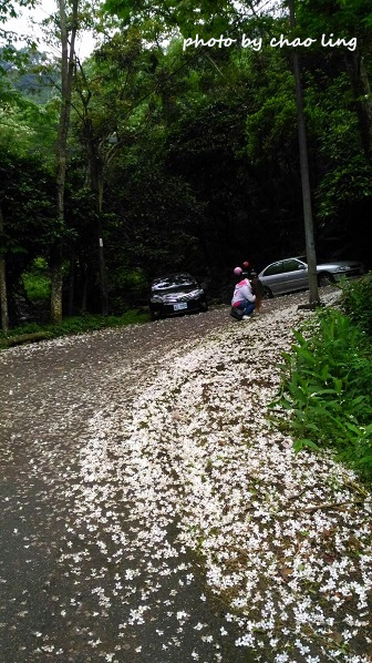 土城石門路-10.jpg - 2016夏之豔陽