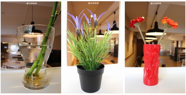 誠食咖啡 Genuine Cafe & Food:誠食咖啡Genuine Café Food✪環境優、聚餐的好所在~103.07.22