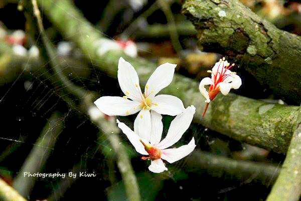 10330503_538339396274577_3175789435413182460_n[1]1