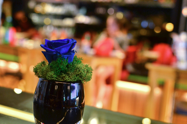 FrenchWindows 琺蘭綺瑥朵：『台北||市府站』別緻六星級異國餐廳，菜單上每個都想嚐一口！-琺蘭綺瑥朵 FrenchWindows