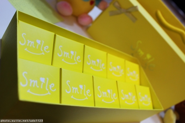 smile微笑鳳梨酥：smile微笑鳳梨酥✪伴手禮首選~第一次吃蜜餞、蛋黃口味的鳳梨酥~103.05.01