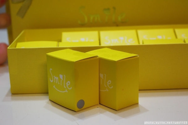 smile微笑鳳梨酥：smile微笑鳳梨酥✪伴手禮首選~第一次吃蜜餞、蛋黃口味的鳳梨酥~103.05.01