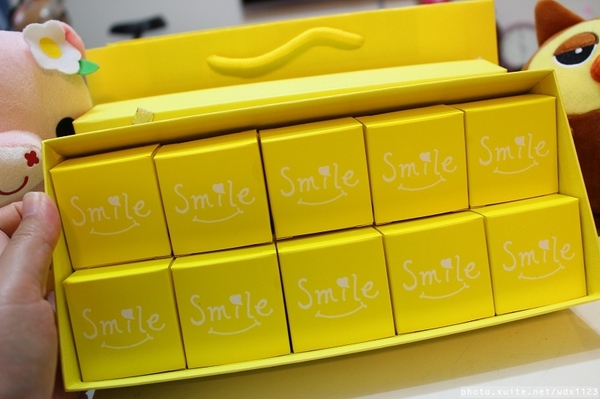 smile微笑鳳梨酥：smile微笑鳳梨酥✪伴手禮首選~第一次吃蜜餞、蛋黃口味的鳳梨酥~103.05.01