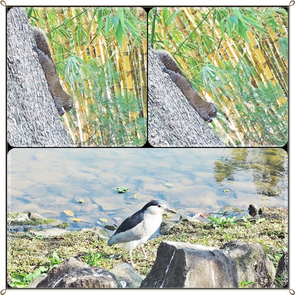 豐盛食堂:✜ 樸實復古、有點小貴滴精緻台菜-「豐盛食堂」