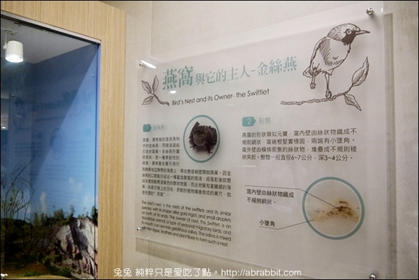 新百祿燕窩觀光工廠：[台南]新百祿燕窩觀光工廠–可以DIY做燕窩，太有趣啦！