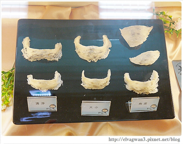 台南-安平-新百祿燕窩觀光工廠-燕窩DIY-25-494-1