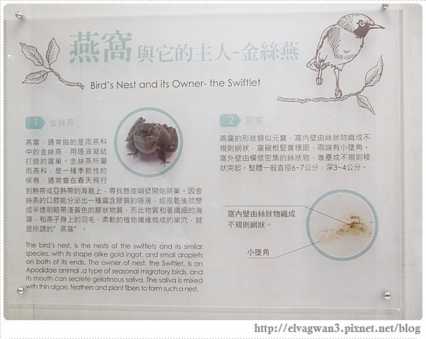 台南-安平-新百祿燕窩觀光工廠-燕窩DIY-17-455-1