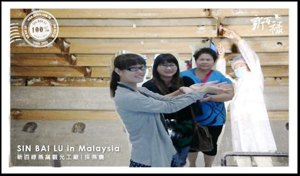 台南-安平-新百祿燕窩觀光工廠-燕窩DIY-37-26915_n-1