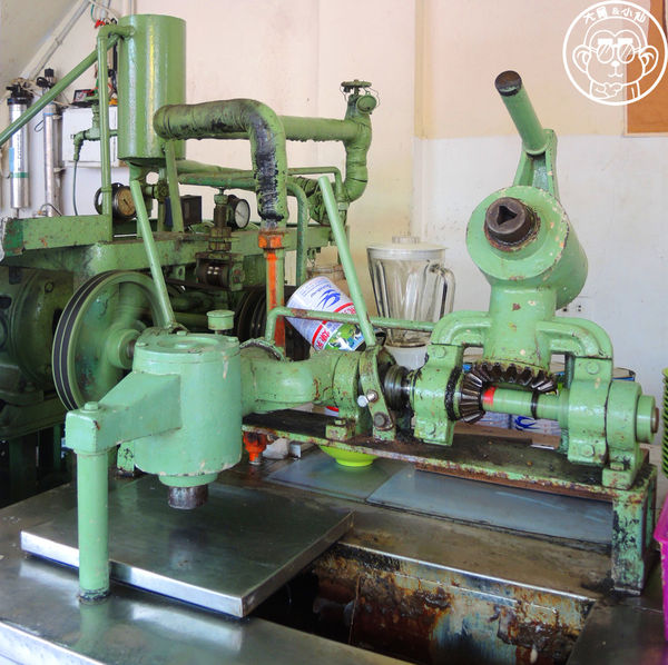 榕樹下阿嬤古早冰：呷飽祙【桃園中壢･榕樹下冰店 綿綿冰】阿嬤級的古早味