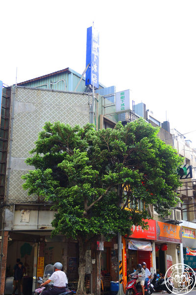 榕樹下阿嬤古早冰：呷飽祙【桃園中壢･榕樹下冰店 綿綿冰】阿嬤級的古早味