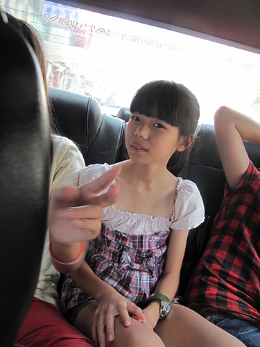 北港木瓜田：超好喝木瓜牛奶-北港木瓜田