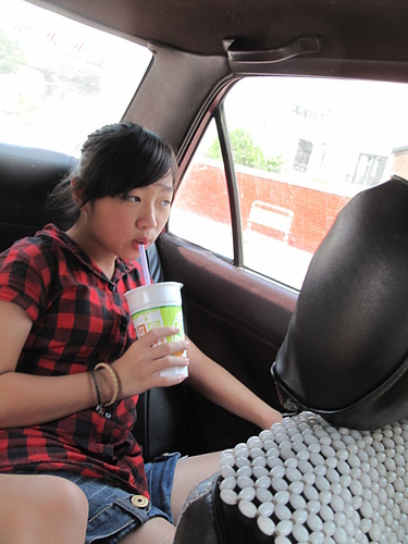 北港木瓜田：超好喝木瓜牛奶-北港木瓜田