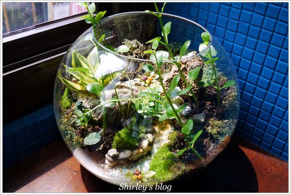 Dine in cafe：中山站‧ Dine in Cafe