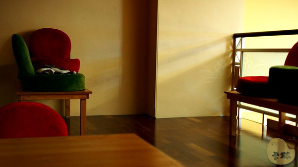 這裡有貓 caf'e:【食記】台中。《這裡有貓 caf'e》超可愛貓拉花!