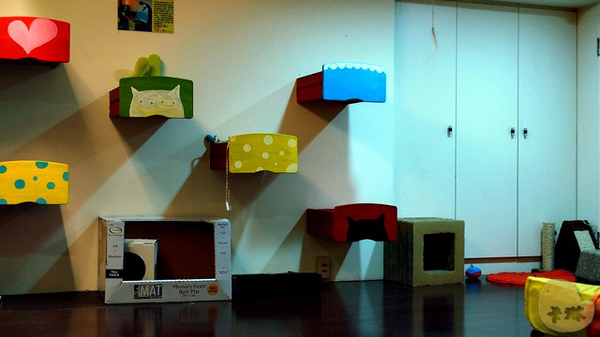 這裡有貓 caf'e:【食記】台中。《這裡有貓 caf'e》超可愛貓拉花!