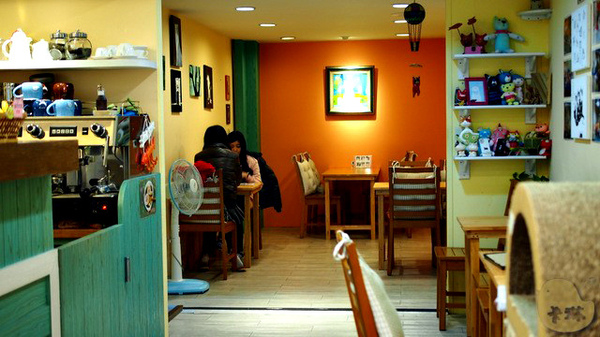 這裡有貓 caf'e:【食記】台中。《這裡有貓 caf'e》超可愛貓拉花!