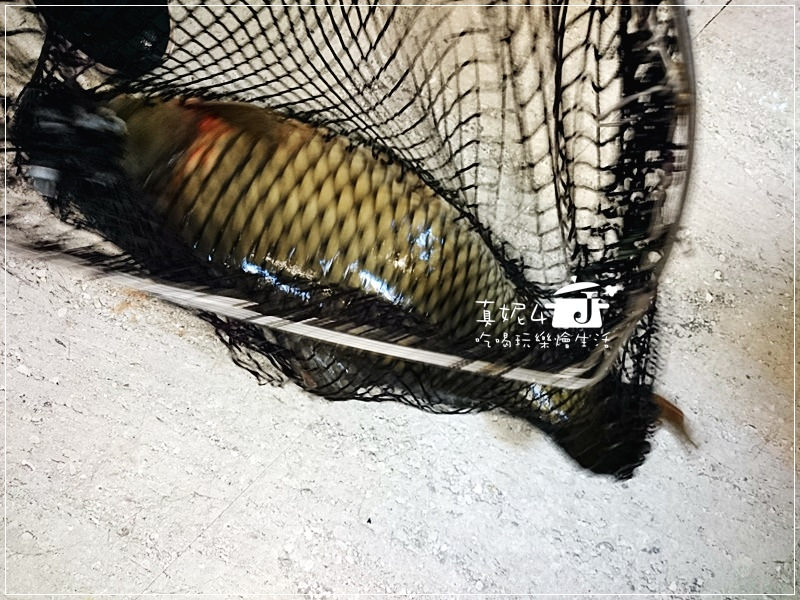 [捷運美食-忠孝新生站] 黃河蜀魚館