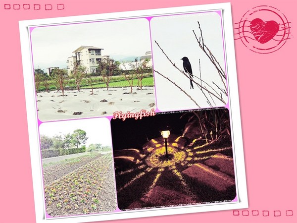 幸福方舟民宿:✜ 環境清幽、讓人忘卻塵世喧囂滴優質民宿-宜蘭「幸福方舟民宿」 (* ̄︶ ̄*)