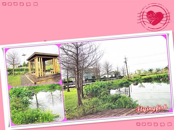 幸福方舟民宿:✜ 環境清幽、讓人忘卻塵世喧囂滴優質民宿-宜蘭「幸福方舟民宿」 (* ̄︶ ̄*)