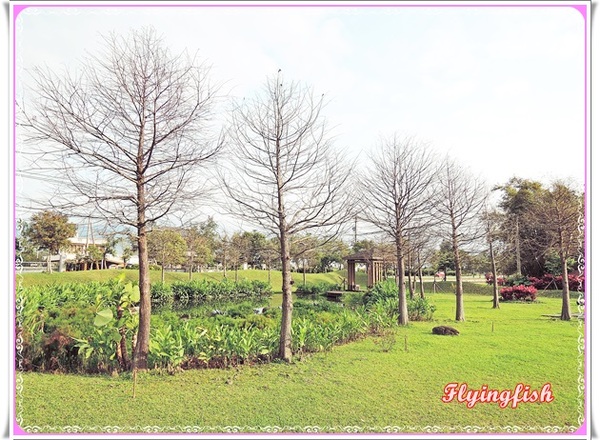 幸福方舟民宿:✜ 環境清幽、讓人忘卻塵世喧囂滴優質民宿-宜蘭「幸福方舟民宿」 (* ̄︶ ̄*)