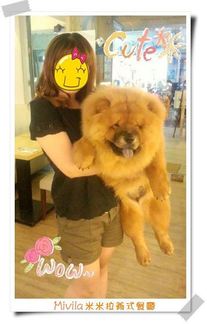 2014-05-09-20-58-30_deco