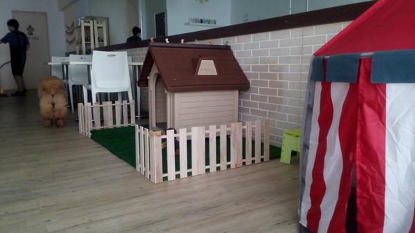 Mivila米米拉義式餐廳:口碑20_Mivila米米拉義式餐廳=寵物餐廳~可以帶毛小孩來的店~裡頭也有一隻無敵可愛的店狗~完全帶走我的心