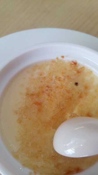 Mivila米米拉義式餐廳:口碑20_Mivila米米拉義式餐廳=寵物餐廳~可以帶毛小孩來的店~裡頭也有一隻無敵可愛的店狗~完全帶走我的心