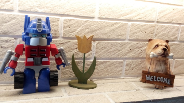 Mivila米米拉義式餐廳:口碑20_Mivila米米拉義式餐廳=寵物餐廳~可以帶毛小孩來的店~裡頭也有一隻無敵可愛的店狗~完全帶走我的心