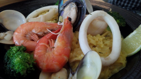 Mivila米米拉義式餐廳:口碑20_Mivila米米拉義式餐廳=寵物餐廳~可以帶毛小孩來的店~裡頭也有一隻無敵可愛的店狗~完全帶走我的心