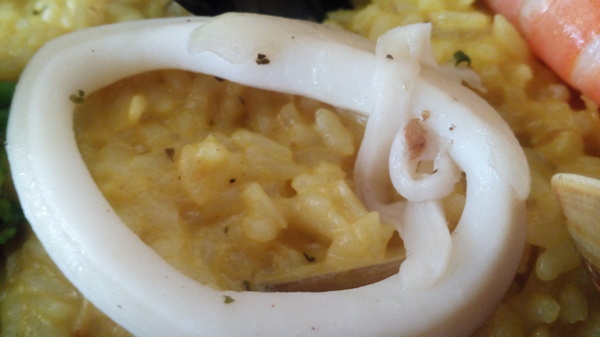 Mivila米米拉義式餐廳:口碑20_Mivila米米拉義式餐廳=寵物餐廳~可以帶毛小孩來的店~裡頭也有一隻無敵可愛的店狗~完全帶走我的心