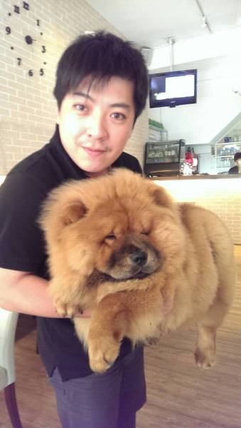 Mivila米米拉義式餐廳:口碑20_Mivila米米拉義式餐廳=寵物餐廳~可以帶毛小孩來的店~裡頭也有一隻無敵可愛的店狗~完全帶走我的心