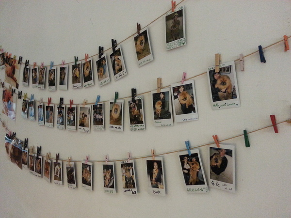 Mivila米米拉義式餐廳：【口碑卷20】歡迎光臨。寵物餐廳。Mivila米米拉義式餐廳