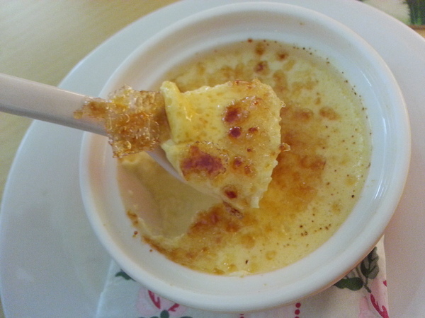 Mivila米米拉義式餐廳：【口碑卷20】歡迎光臨。寵物餐廳。Mivila米米拉義式餐廳