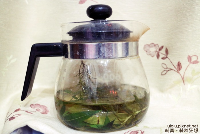 140511 宜蘭 蓮雨居038.JPG