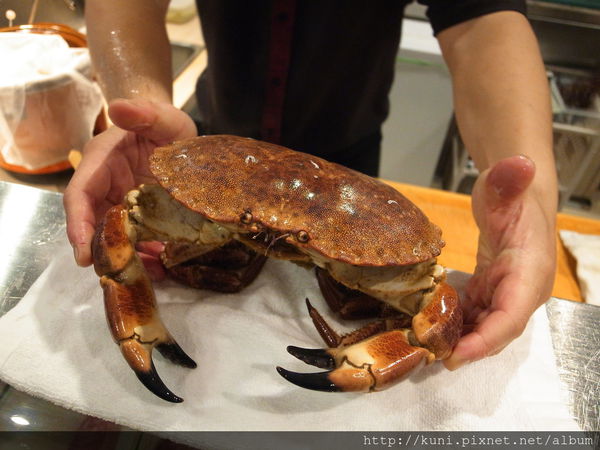 GRD3 09112014 錵鑶玫瑰膏蟹 (12).JPG