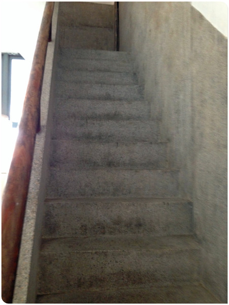 端倪生活:【♥美食】老房子