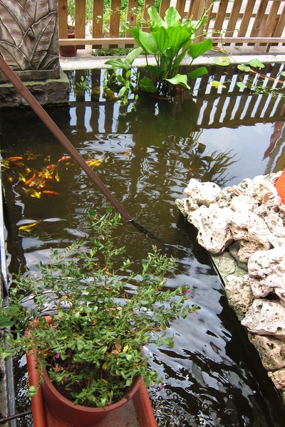 中興新村-塔巴斯加:【南投。中興新村】TAPAS+ 塔巴斯加烘焙餐坊(二店)