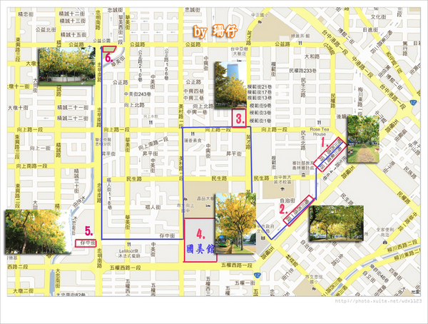 台中西區黃金雨‧阿勃勒: 黃金雨✪阿勃勒in梅川綠園道~103.06.07