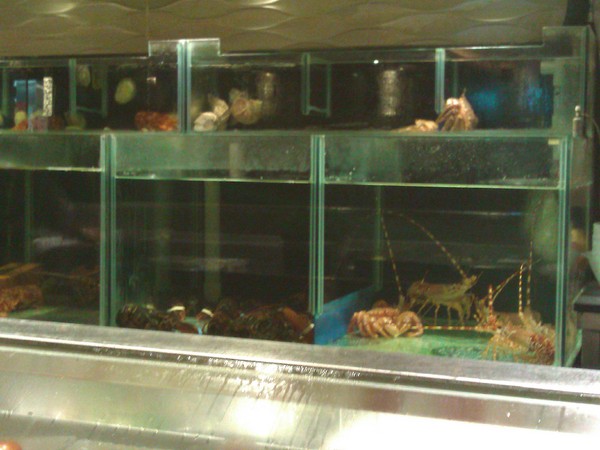 宸料理頂級日式料理:宸料理頂級日式料理~隱密的頂級招待所