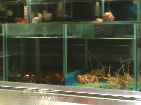 宸料理頂級日式料理:宸料理頂級日式料理~隱密的頂級招待所